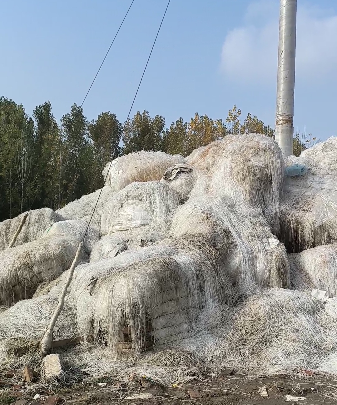 Screenshot_2026-01-20-14-20-43-36_99c04817c0de565