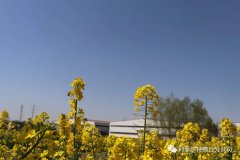 疫情已經得到控制歡迎寧夏現場合伙人來訪鋁塑煉油設備